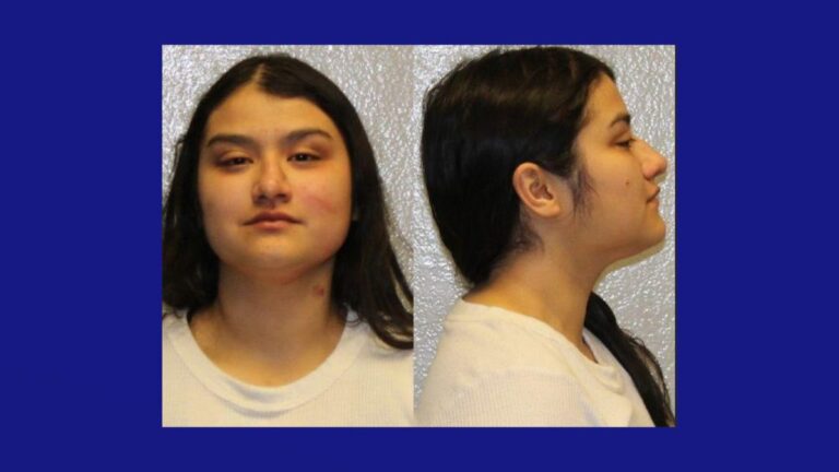 Identifican a Conductora DWI tras Choque de Camioneta en Edinburg