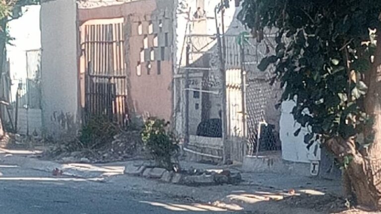 Foco de Peligro en Quintas los Nogales de Torreón: Denuncian Perros Agresivos y Abandono de Espacios Públicos