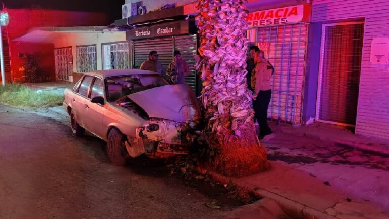 Menores de Edad Causan Accidente Automovilístico: Un Choque Contra una Palma en Torreón