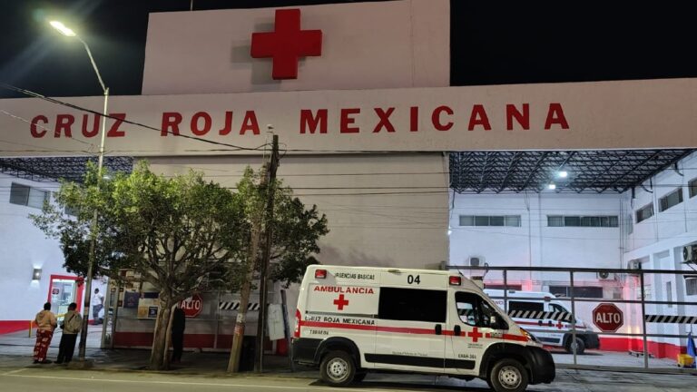 Violencia Familiar en Torreón: Menor Golpeado Brutalmente por su Padre