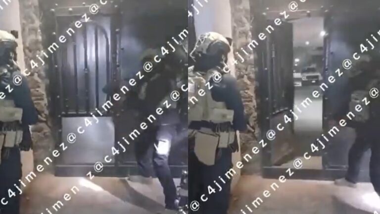 Rescatan Perritos Durante Operativo en Xochimilco: Descubren Armamento y Drogas del Cártel de Sinaloa