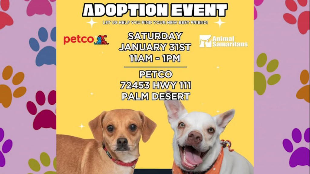 Adopción de Mascotas: Animal Samaritans Organiza Evento en Petco Palm Desert