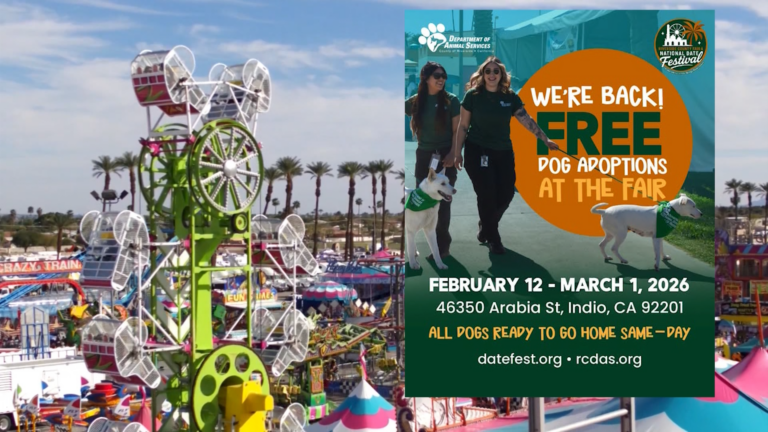 ¡No te pierdas las adopciones de perros gratuitas en la Feria del Condado este fin de semana!