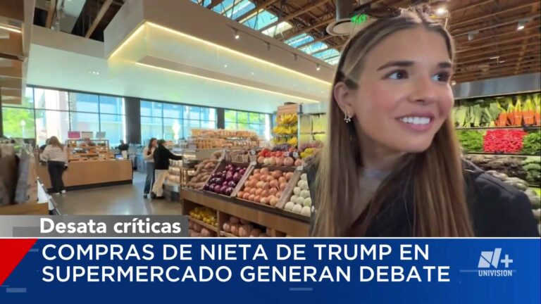 Nieta Youtuber Del Presidente Desata Controversia