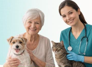 Clínica gratuita para mascotas: Cuatro razones para que los adultos mayores visiten en Reno