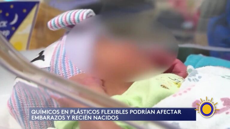 Phthalato: Riesgos De Sustancias Químicas Para Embarazadas