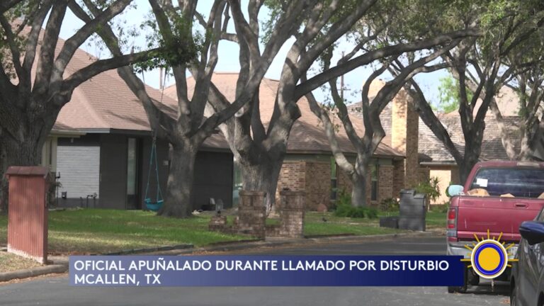 Mcallen: Incidente De Violencia Doméstica En MacCallen