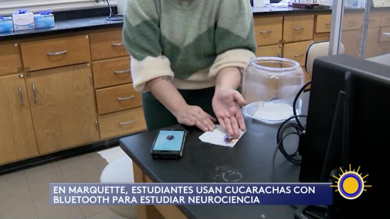 Innovador Proyecto Fusiona Ciencia Y Tecnología Educativa
