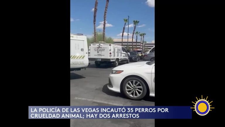 Crueldad Animal En Rescate De Las Vegas: 35 Perros Incautados
