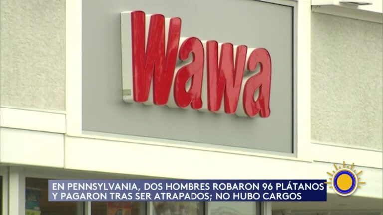 Robo De Plátanos: Un Error De Borrachos En Filadelfia
