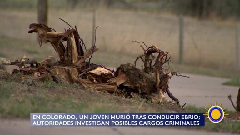 Accidente Fatal En Colorado Por Conducción Alcoholizada