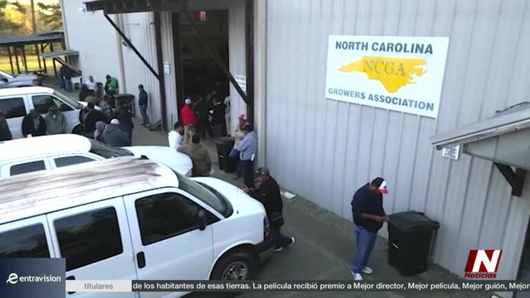 Demanda De Trabajadores Agrícolas En EE.UU.