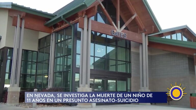 Tragedia Aérea En Nevada: Investigación De Un Caso De Asesinato-Suicidio
