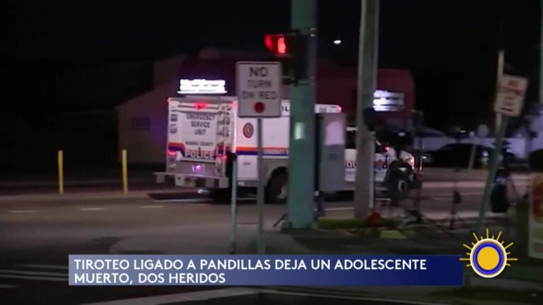 Tiroteo Relacionado Con Pandillas Deja Un Adolescente Muerto En Nueva York