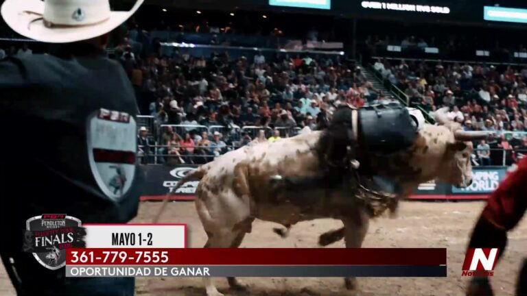 ¡Fiesta De Monta De Toros Y Música En El Gilar Centro Arena Este 1 Y 2 De Mayo!