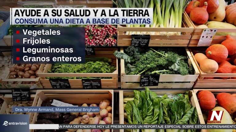 Día De La Tierra: Hábitos Saludables Para Cuidar El Planeta Y Tu Salud