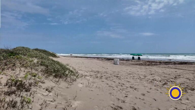 Reciclaje: Reciclar Y Reducir Plásticos: El Reto Ambiental Para Proteger La Vida