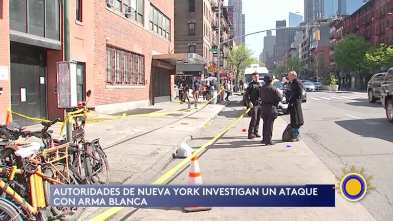 Apresan Al Sospechoso De Brutal Ataque Con Cuchillo En Refugio De Nueva York