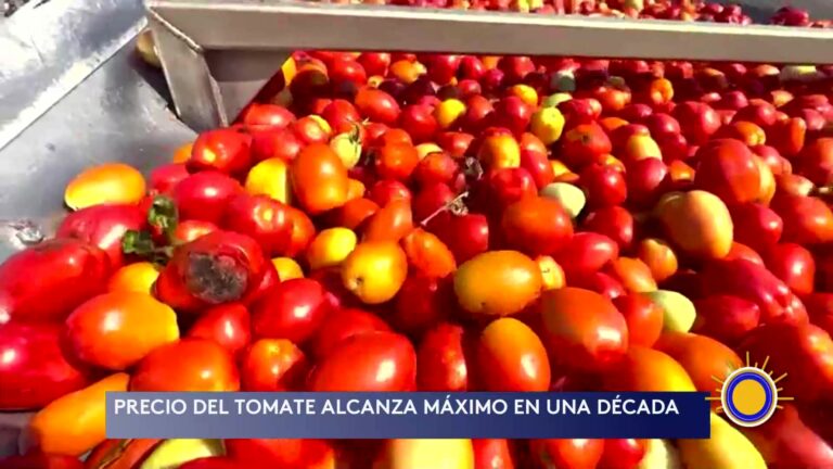 El Precio Del Tomate En Estados Unidos Llega A Su Nivel Más Alto En Una Década