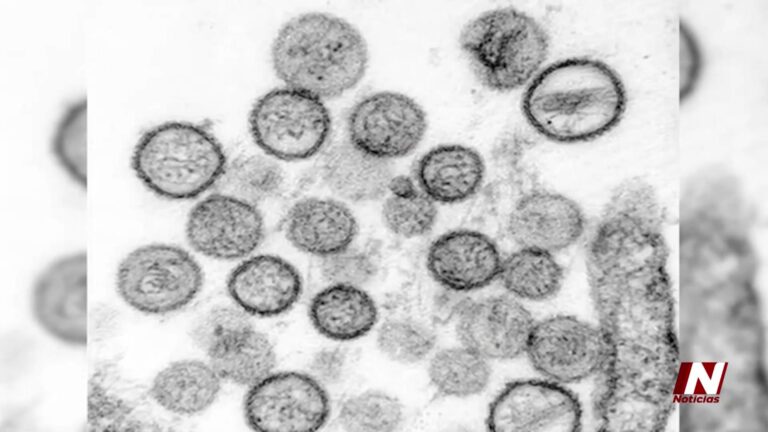 Brotes De Hantavirus Y Lluvia De Meteoros: Alerta Internacional Y Espectáculo Celestial