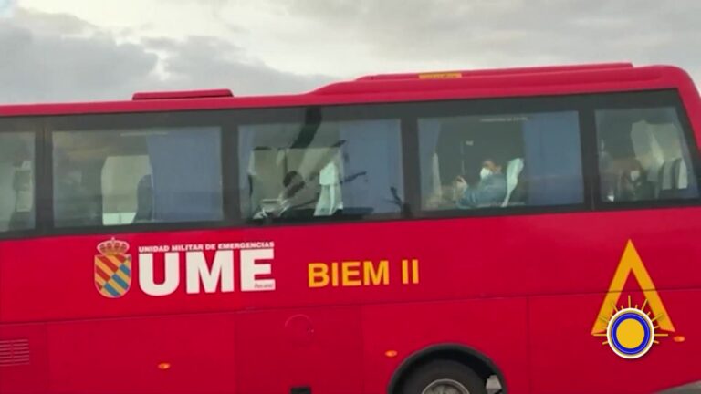 Crucero Virus: Estados Unidos Evalúa Riesgo Por Virus En Crucero: 87 Pasajeros Evacuados