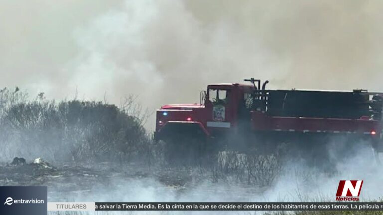 Incendio De Pastizal En Carretera 31 Moviliza A Bomberos De Corpus Christi