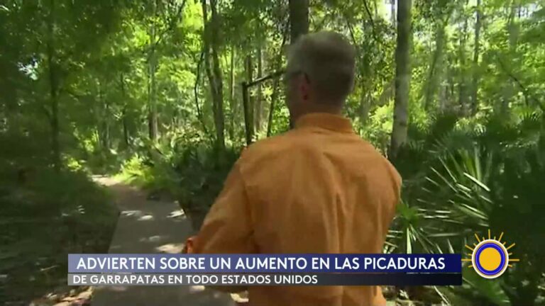 CDC: Alerta Nacional: Aumentan Las Picaduras De Garrapatas Y La Enfermedad De Lyme
