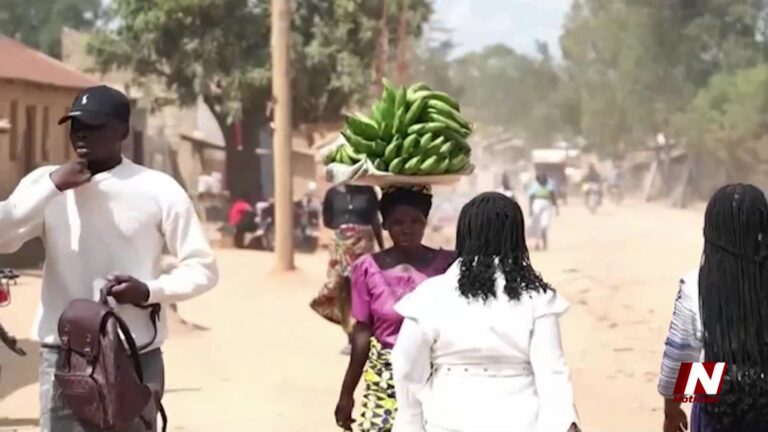 OMS Advierte Crecimiento Del Brote De Ébola En África, EE.UU. Refuerza Restricciones