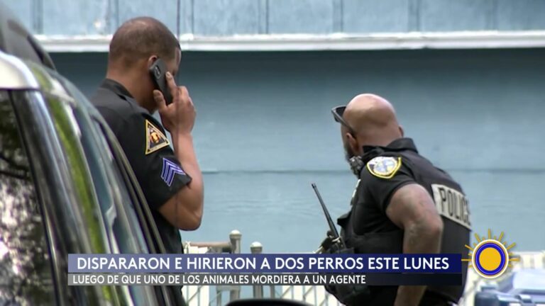 Policía Dispara A Perros Tras Ataque A Agente En Milwaukee