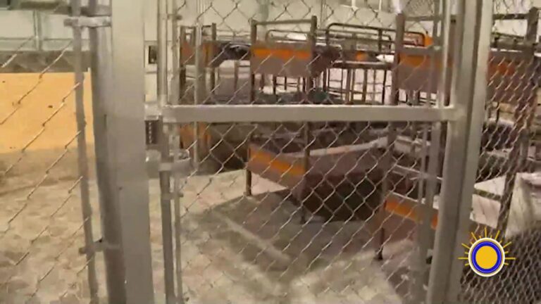 Deportación Cubanos: Deportación De Cubanos Genera Controversia: Denuncian Abusos Y Condiciones Inhumanas