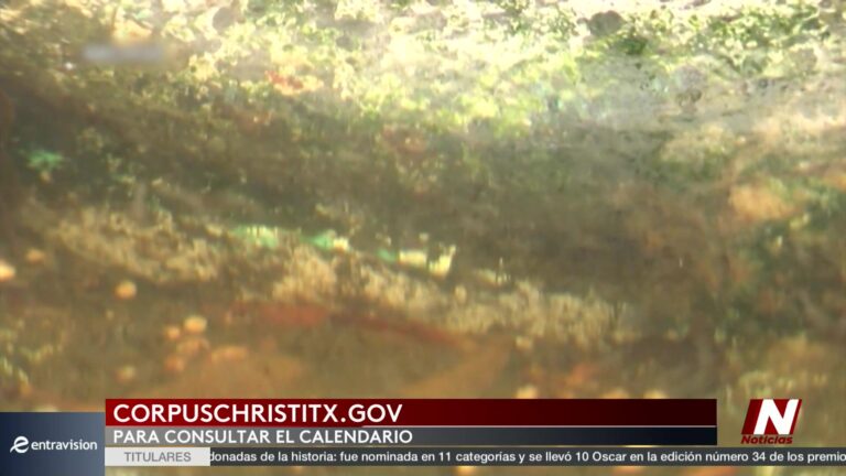 Intensifican Fumigación En Corpus Christi Para Combatir Mosquitos