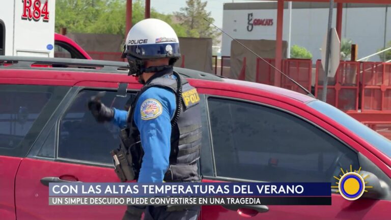 Niños En Autos: ¡Peligro Mortal! Autoridades Alertan Sobre Dejar Niños Y Mascotas En Vehículos Calurosos