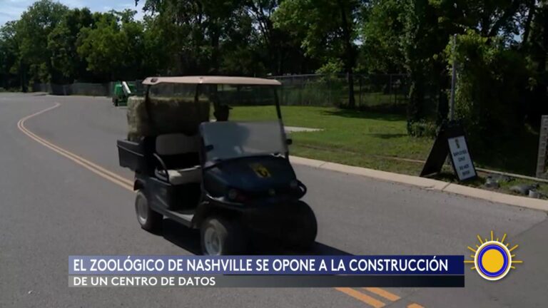 Zoológico Nashville: Zoológico De Nashville: Batalla Contra Un Centro De Datos Que Pondría En Peligro A Sus Animales