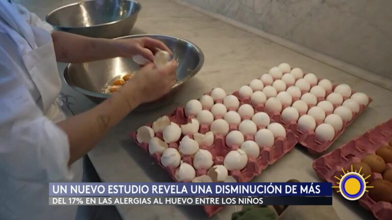 Alergia Al Huevo: Alergias Al Huevo En Niños Caen 17% Gracias A Nuevas Guías De Alimentación Infantil
