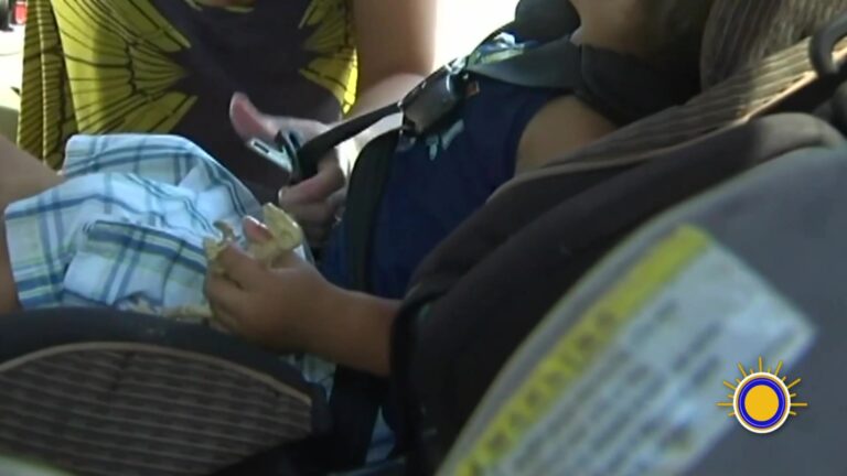 Calor Extremo En EE.UU.: Proteja A Niños, Ancianos Y Mascotas Ante Las Altas Temperaturas