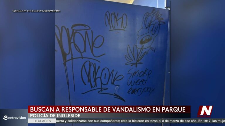 Vandalismo En Parque De O-SIMENS: Policía Busca Información