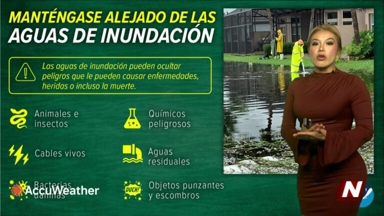 El Tiempo: Alerta Meteorológica: Pronóstico Detallado De Lluvias Y Riesgos En El Sur De Texas el tiempo