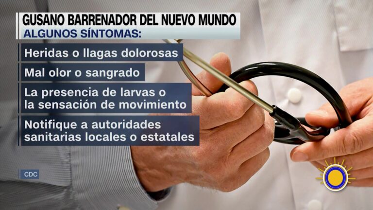 Moscas Parásitas: CDC Recomiendan Precaución Frente A Brote De Miíasis