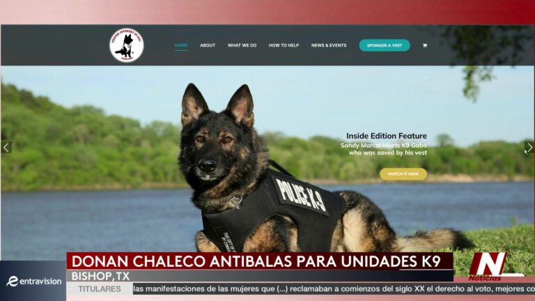 K9 Aída De La Policía De Bishop Recibirá Chaleco Antibalas Y Antipunzante