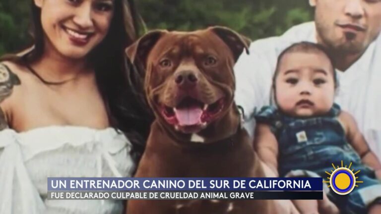 Crueldad Animal: Entrenador Canino De California Hallado Culpable Por Muerte De 11 Perros