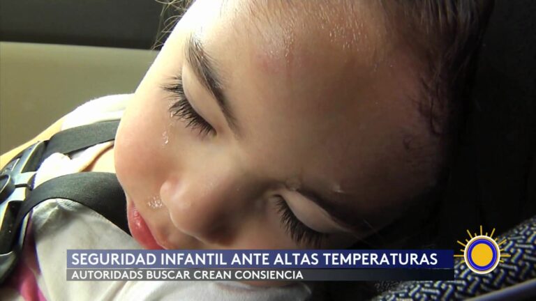 Pronóstico Del Tiempo: Alerta Por Ola De Calor Y Lluvias Ocasionales En El Estado