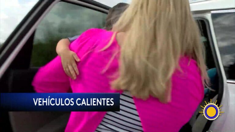 Seis Muertes De Niños Olvidados En Vehículos Preocupan A Nivel Nacional