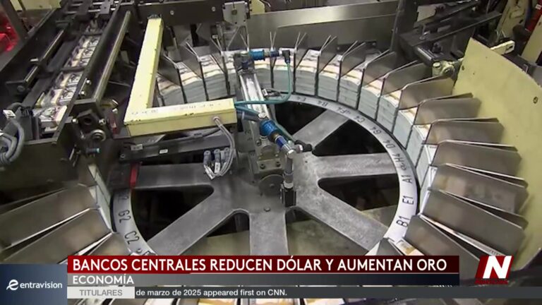 Desdolarización: Bancos Centrales Planean Reducir Reservas En Dólar Según Encuesta Global