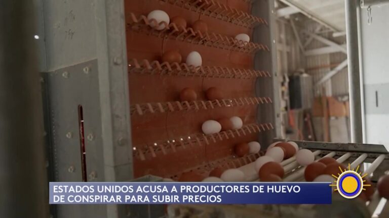 Productores De Huevo Acusados De Subir Precios Mediante Conspiración Según El Departamento De Justicia