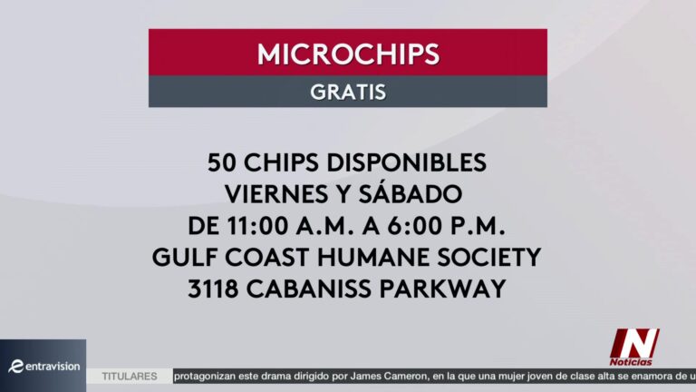 Protege A Tus Mascotas En El 4 De Julio: Microchips Gratis En Corpus Christi
