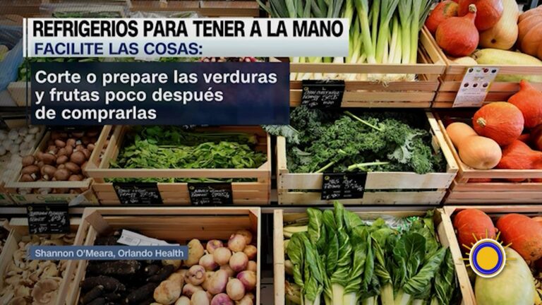 Salud Infantil: Refrigerios Saludables Para Un Verano Balanceado