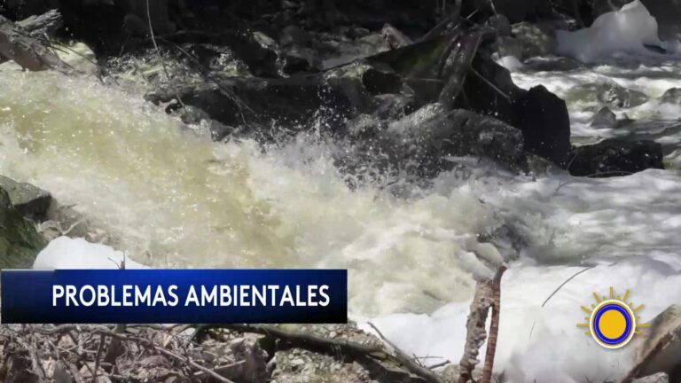 Violencia Armada: Impactante Estadística: Cada 12 Minutos Muere Alguien En EE. UU. Por Violencia Con Armas