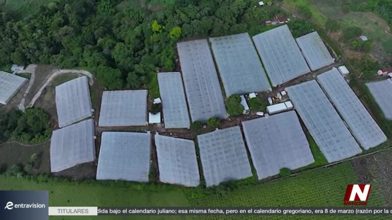 Fenómeno Del Niño: El Fenómeno De El Niño: Desafío Para La Agricultura Y Tecnología En Centroamérica