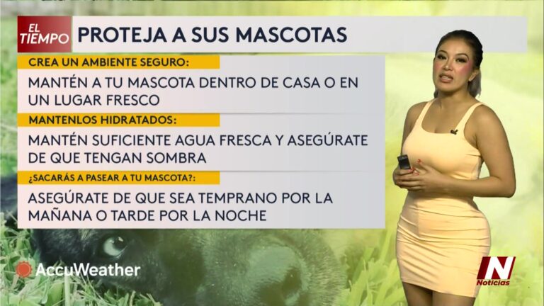 Recomendaciones Para Proteger A Tus Mascotas Ante El Calor Extremo Este Fin De Semana