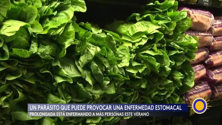 Brote De Ciclospora Afecta A Más De 1,400 Personas En EE.UU.